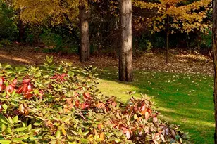 741 Glenna Dr, Hudson, WI 54016 - Photo 55