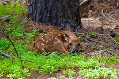 741 Glenna Drive, Hudson, WI 54016 - Photo 59