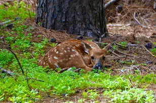 741 Glenna Dr, Hudson, WI 54016 - Photo 59