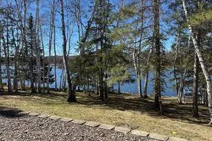 37931 Dream Island Rd, Crosslake, MN 56442 - Photo 5