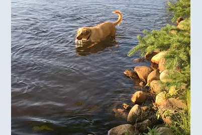 37931 Dream Island Road, Crosslake, MN 56442 - Photo 29