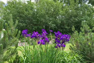 941 Rice St, Faribault, MN 55021 - Photo 55