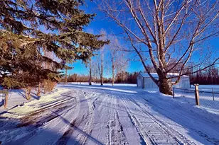 469 MN-11, Williams, MN 56686 - Photo 49