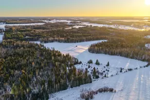 24193 Nebish Rd NE, Blackduck, MN 56630 - Photo 9