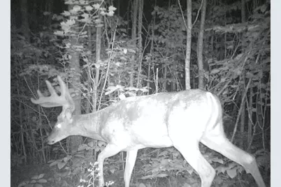 29326 County Road 1, Emily, MN 56447 - Photo 7