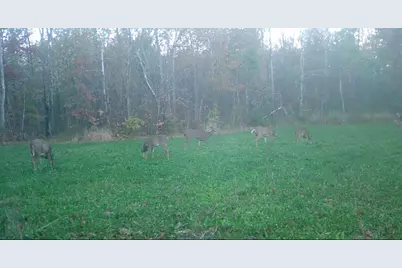 29326 County Road 1, Emily, MN 56447 - Photo 75