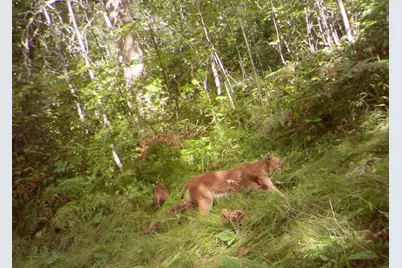 29326 County Road 1, Emily, MN 56447 - Photo 71