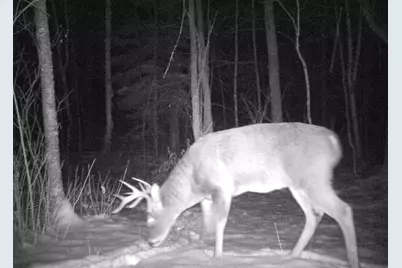 29326 County Road 1, Emily, MN 56447 - Photo 73