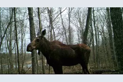 29326 County Road 1, Emily, MN 56447 - Photo 67