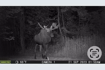 29326 County Road 1, Emily, MN 56447 - Photo 9