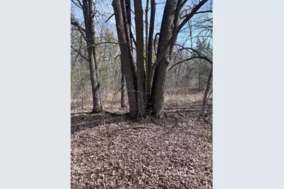 50828 Tradesman Road, Staples, MN 56479 - Photo 29