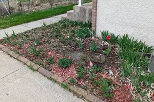 7200 Newton Ave N, Brooklyn Center, MN 55430 - Photo 45