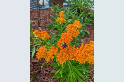 7200 Newton Avenue N, Brooklyn Center, MN 55430 - Photo 41