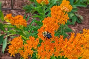 7200 Newton Ave N, Brooklyn Center, MN 55430 - Photo 41