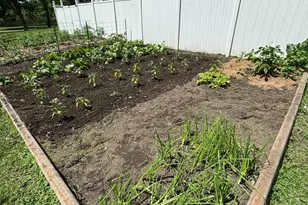 330 Watkins St, Mora, MN 55051 - Photo 19