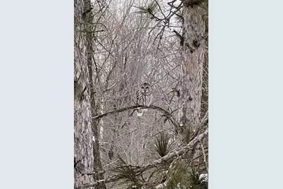 1295 Velvetleaf Lane, Lino Lakes, MN 55038 - Photo 61