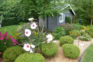 1295 Velvetleaf Ln, Lino Lakes, MN 55038 - Photo 55