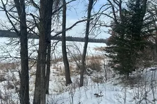 49128 Sandy Oak Dr, Deer River, MN 56636 - Photo 7