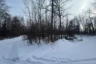 49128 Sandy Oak Dr, Deer River, MN 56636 - Photo 3