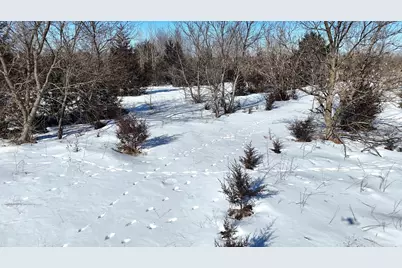 Tbd 320th Street, Stacy, MN 55079 - Photo 23