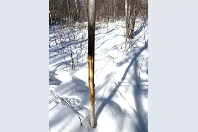 Tbd 320th Street, Stacy, MN 55079 - Photo 35