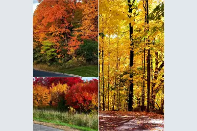 4707 Obsidian Way, Victoria, MN 55386 - Photo 29