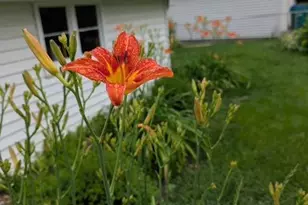 3401 Aquila Ave S, Saint Louis Park, MN 55426 - Photo 35