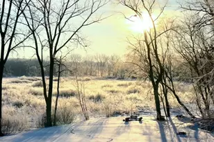 3141 Fairchild Ave, Wayzata, MN 55391 - Photo 91