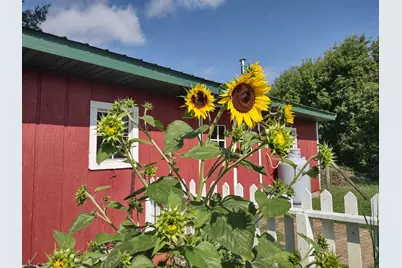 12221 Page Avenue, Brownton, MN 55312 - Photo 45