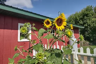 12221 Page Ave, Brownton, MN 55312 - Photo 45