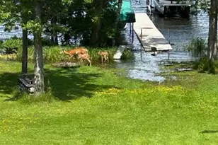 9063 E Wakemup Village Rd, Cook, MN 55723 - Photo 7