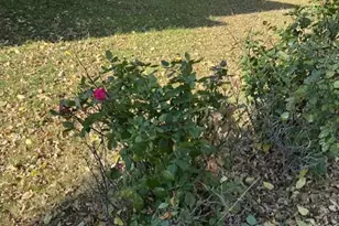 315 11th St N, Breckenridge, MN 56520 - Photo 21