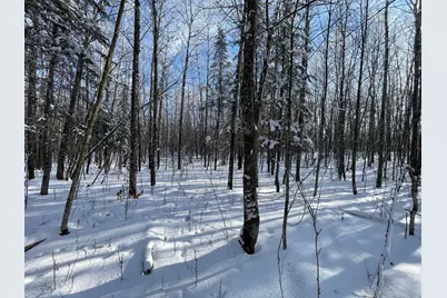 Tbd Old Long Lake Road NW, Bemidji, MN 56601 - Photo 33