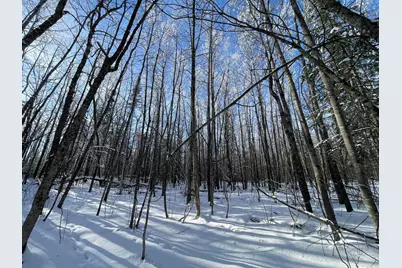 Tbd Old Long Lake Road NW, Bemidji, MN 56601 - Photo 37