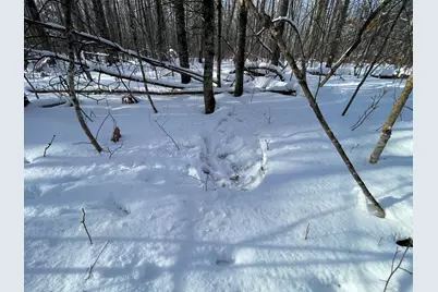 Tbd Old Long Lake Road NW, Bemidji, MN 56601 - Photo 31