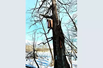 14343 Fairbanks Avenue, Lonsdale, MN 55046 - Photo 63