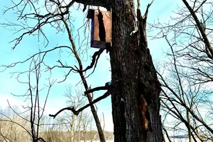 14343 Fairbanks Ave, Lonsdale, MN 55046 - Photo 63