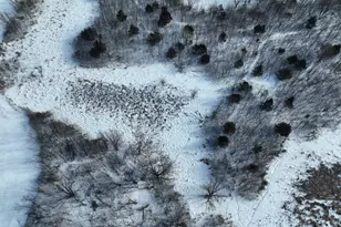 14343 Fairbanks Ave, Lonsdale, MN 55046 - Photo 81