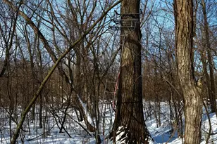 14343 Fairbanks Ave, Lonsdale, MN 55046 - Photo 71