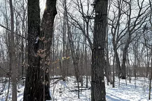 14343 Fairbanks Ave, Lonsdale, MN 55046 - Photo 65