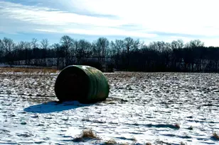 14343 Fairbanks Ave, Lonsdale, MN 55046 - Photo 77