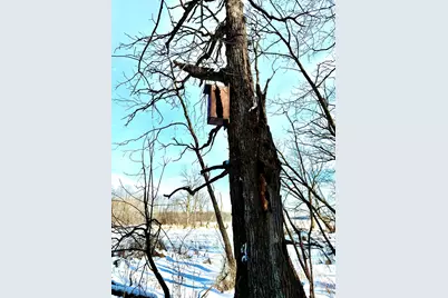 14343 Fairbanks Avenue, Lonsdale, MN 55046 - Photo 63