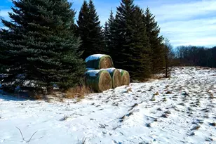 14343 Fairbanks Ave, Lonsdale, MN 55046 - Photo 73