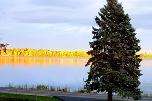 5369 County Rd 6 SW, Howard Lake, MN 55349 - Photo 3