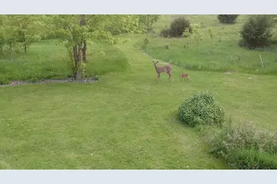 W11213 840th Avenue, River Falls, WI 54022 - Photo 67