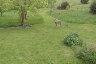 W11213 840th Ave, River Falls, WI 54022 - Photo 67