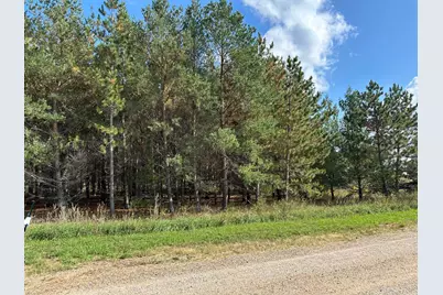 26805 Lidstrom Road, Detroit Lakes, MN 56501 - Photo 1