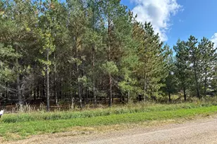 26805 Lidstrom Rd, Detroit Lakes, MN 56501 - Photo 1