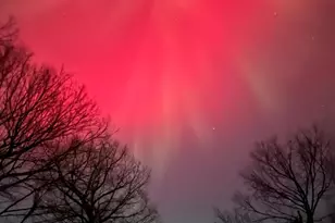 379 Jandel Ave NE, Hanover, MN 55341 - Photo 73