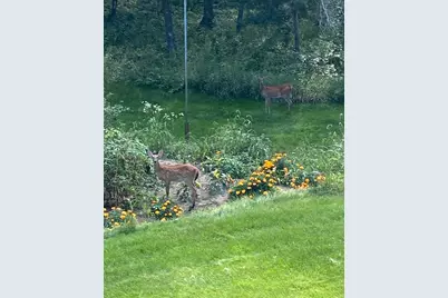 379 Jandel Avenue NE, Hanover, MN 55341 - Photo 69